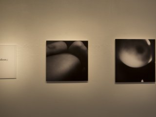ギャラリーは左側から観覧する。僕が訪れた際は、寺田哲史の「Water Balloon／不可解な部位」が展示されていた