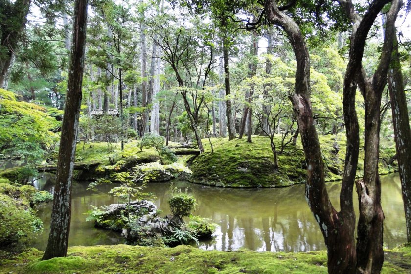 O jardim de musgo no Templo Saiho-ji