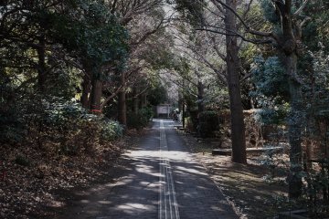 Shinagawa Kumin Park