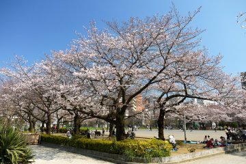 Kinshi Park
