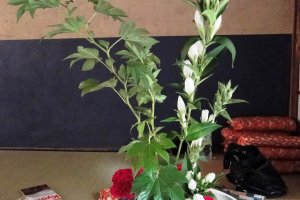 My ikebana arrangement