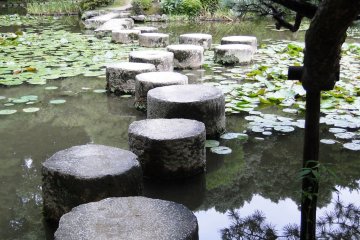 Stepping stones across the pond