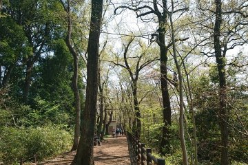 Kodaira Central Park