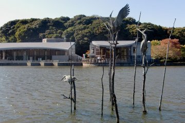 Sendabori Pond visitors