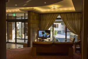 The hotel lobby offers a welcoming and relaxing environment.