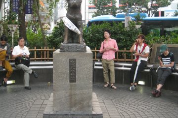 著名的忠犬八公雕像。也是涩谷站一个标志性地点。八公，日本历史上一条具有传奇色彩的忠犬。忠实憨厚的八公犬和主人的真实故事感动了无数人，主人在外捡回八公，从那以后八公每天都会准时在车站门口接主人下班，主人去世后，八公还是未曾间断地在车站口等候，直到死去，人们为了缅怀这只忠实的好狗，在它经常等候主人的涉谷车站口立了一尊雕像。