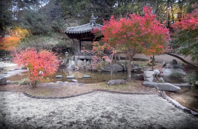 The park's Korean Garden