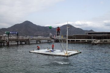 A dolphin show at Awashima Marine Park. The dolphins keep is in the sea.