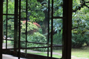 Kamihanawa garden view