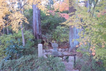 The Narihira's grave and maple trees