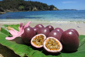 Hahajima: fruit and beaches