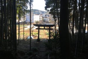 Shrine gate from within the bamboo grove