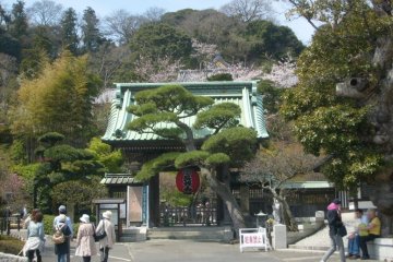 The approach to Hase-dera temple, near Hase station on the Enoden line