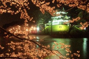 Takada Castle at night during sakura season