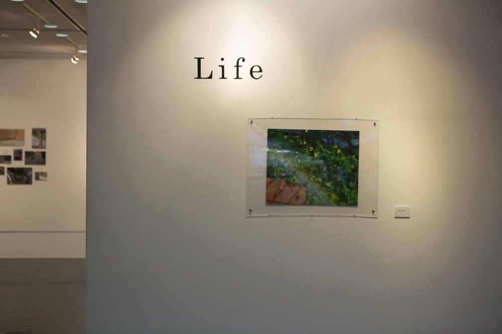 Triển lãm 'Cuộc sống' hiện tại là nơi tổ chức trưng bày tác phẩm của một số nghệ sĩ trẻ ở thành phố Kobe