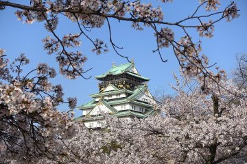 Osaka Castle during spring
