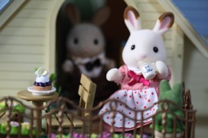 Sylvanian Families dolls are known and loved across the world