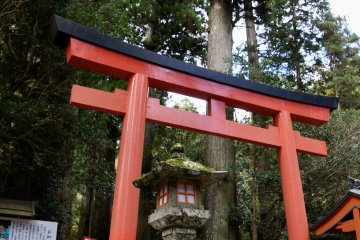 Torii are your gateway to another world