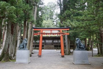A torii found between the monasteries on Mount Koya
