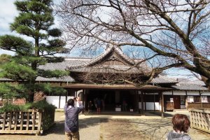 Seicho-Shizendo (Historic Natural Cultural Property)