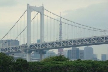 彩虹大桥后的东京塔