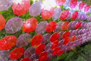 Red umbrellas at Metsa 