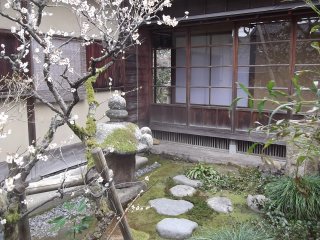 The garden at the Kurando Terashima House