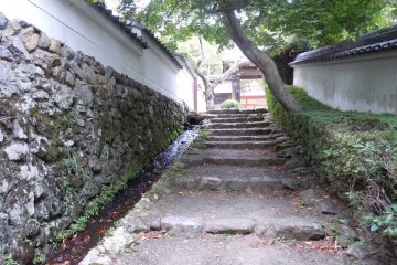 Старинные ступени Цветочного храма