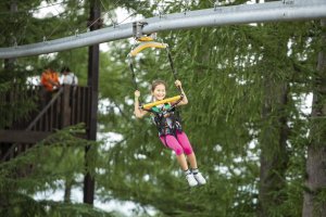 Choose from a zipline experience or an all-you-can play super passport