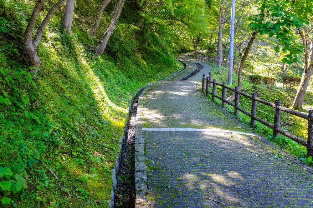 Một trong những địa điểm phổ biến ngắm hoa anh đào ở Iwate.