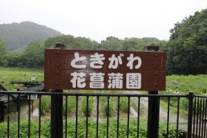 "Tokigawa Hanashobuen" Tokigawa Iris Garden