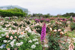 Hamamatsu Botanic Garden