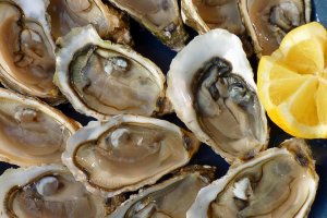 Oysters are a specialty of the Nitoyo Coast area