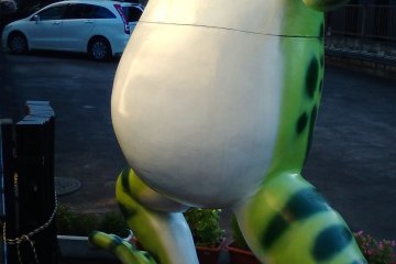 Styrofoam frog