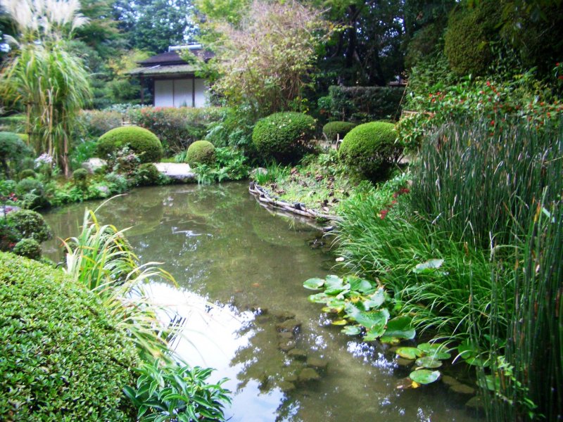 <p>Shisendo Temple&#39;s Heritage Garden is beautiful whichever way you look</p>