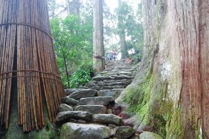 Walking up ancient stone steps set between giant old cedar trees