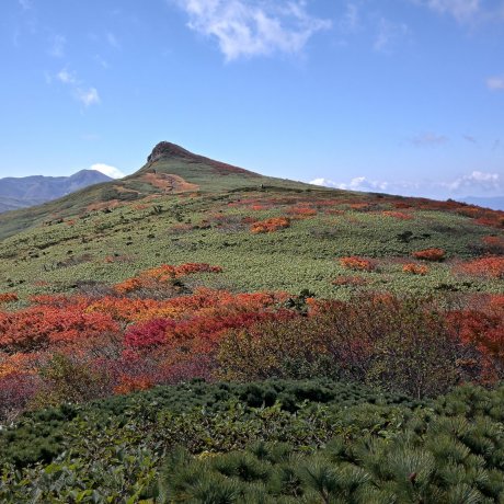Mt. Eboshi in Fall