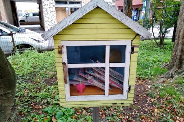 A tiny neighborhood library