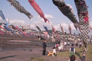 Colorful koinobori decorate approximately 150 meters of the Kamo River