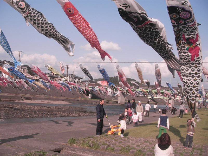 Colorful koinobori decorate approximately 150 meters of the Kamo River