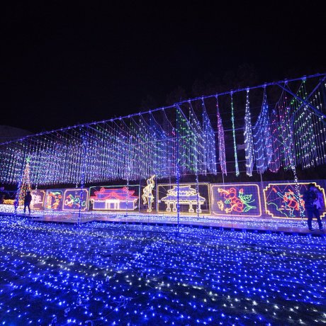 Okinawa Zoo &amp; Museum Christmas Fantasy