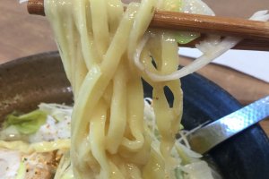 Sumptuously thick ramen noodles