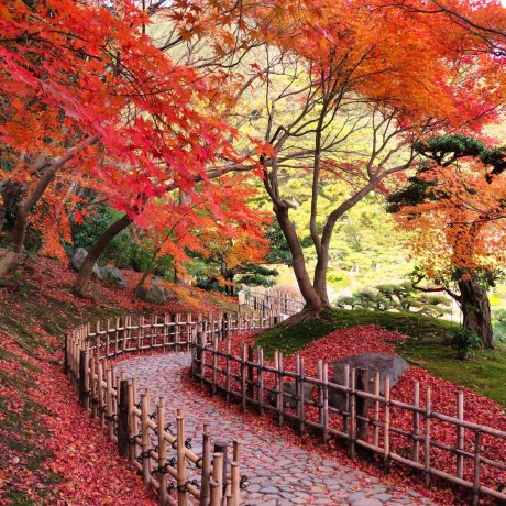 Late Fall in Shikoku - Day Three