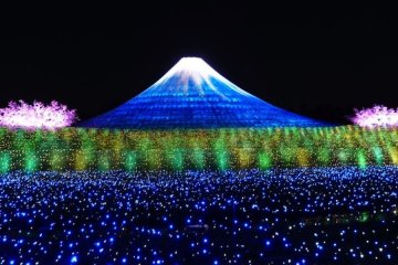 Зимняя иллюминация в парке Набана-но-сато