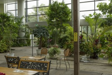 If you enter the garden through the building that houses the café you can enjoy this greenhouse on the second floor