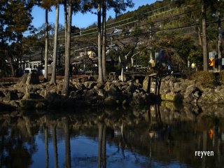 The pond across Engaku-ji Temple in Kita-kamakura.