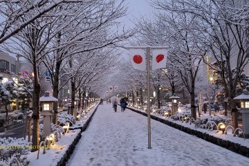 Kamakura Camera - Snow at Tsurugaoka Hachimangu Shrine