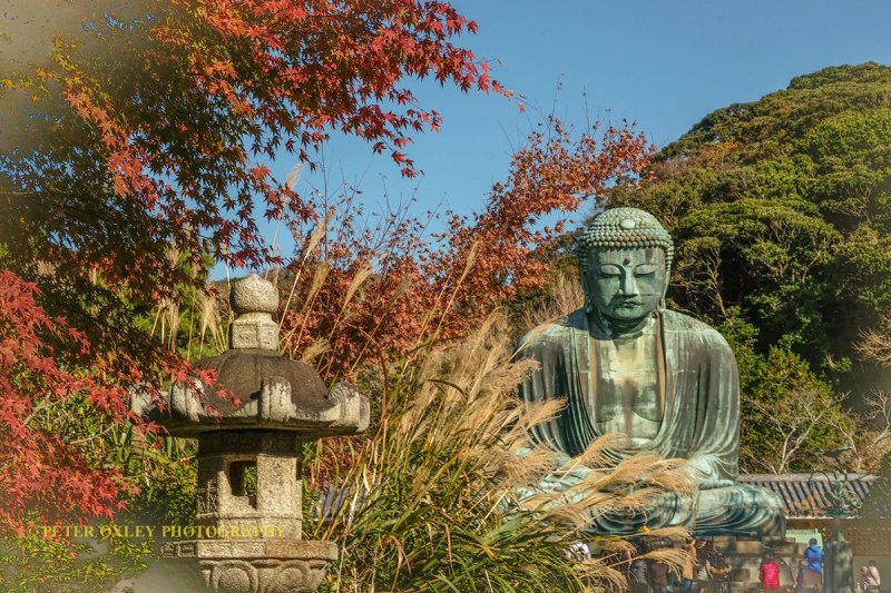 The Great Buddha in autumn