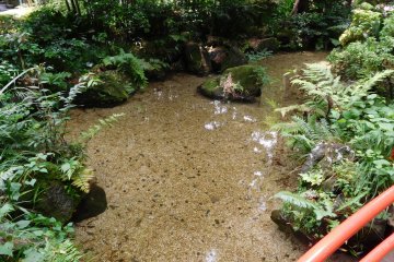 Otaka no Michi's Masugata Pond