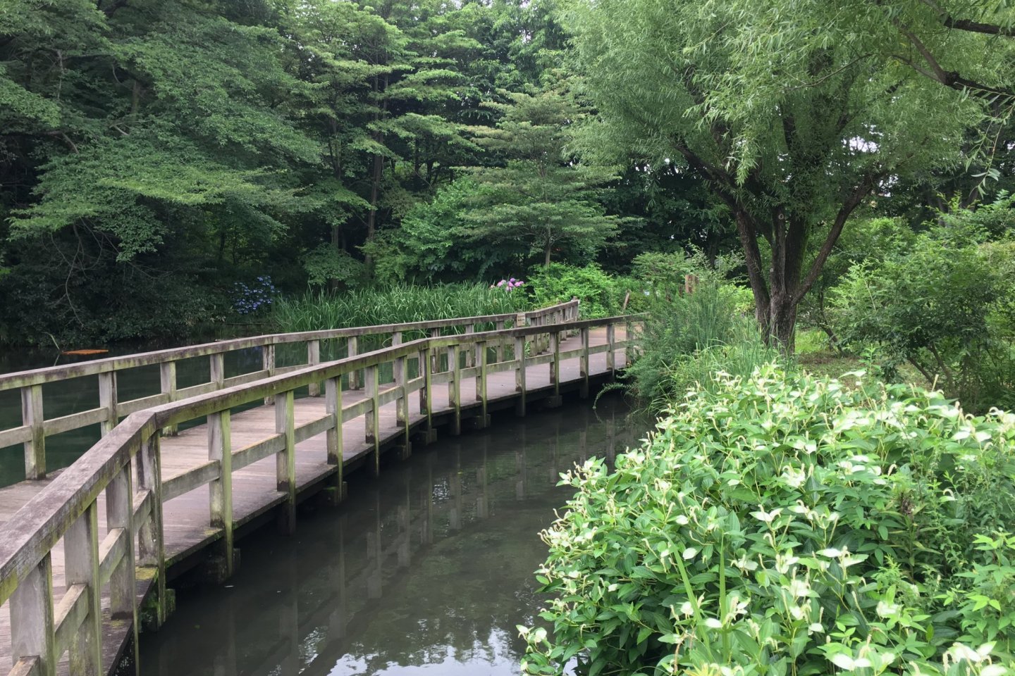 Sugatami-no-ike Pond